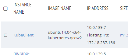 newfloatingiponinstance